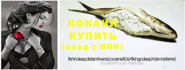 ГАЛЛЮЦИНОГЕННЫЕ ГРИБЫ Верея