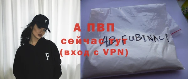 ГАЛЛЮЦИНОГЕННЫЕ ГРИБЫ Верея
