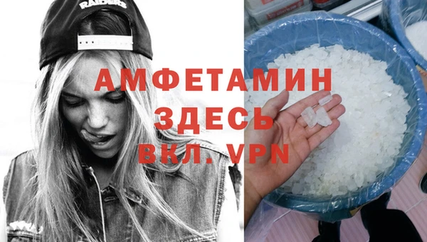 ГАЛЛЮЦИНОГЕННЫЕ ГРИБЫ Верея