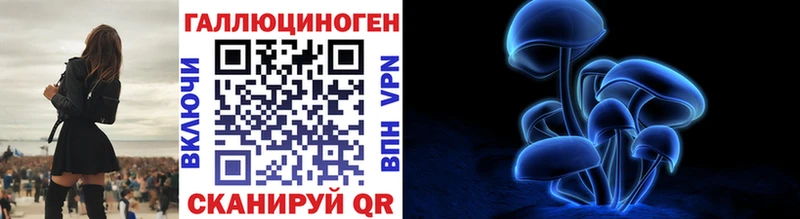 hydra ссылки  Вологда  Галлюциногенные грибы Magic Shrooms  как найти наркотики 
